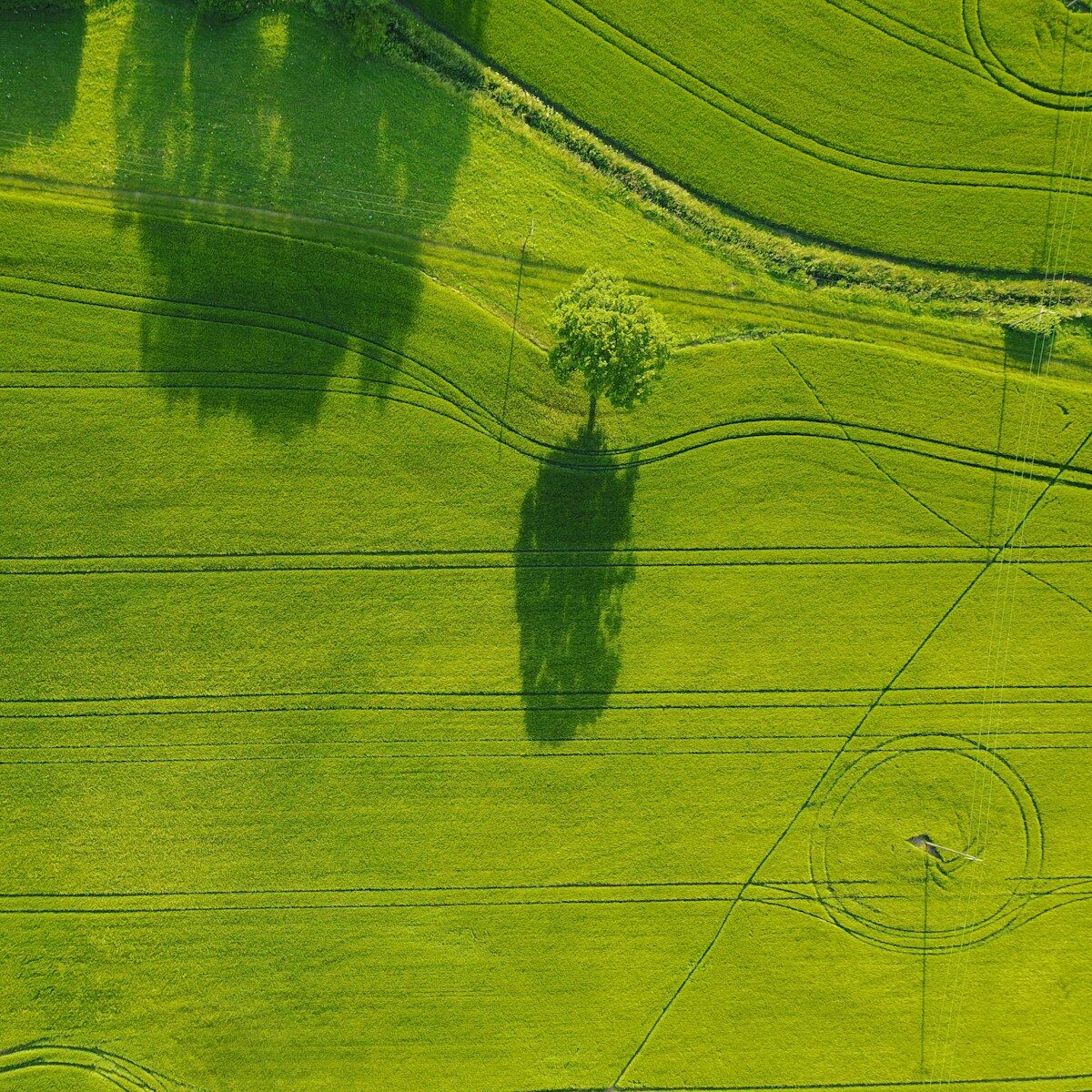aerial photography of green field