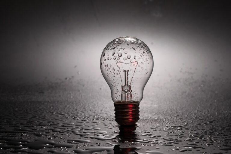 bulb, light bulb, wet