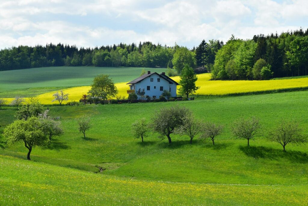 White House Near Green Leafed Trees czyste powietrze 2024 termomodernizacja