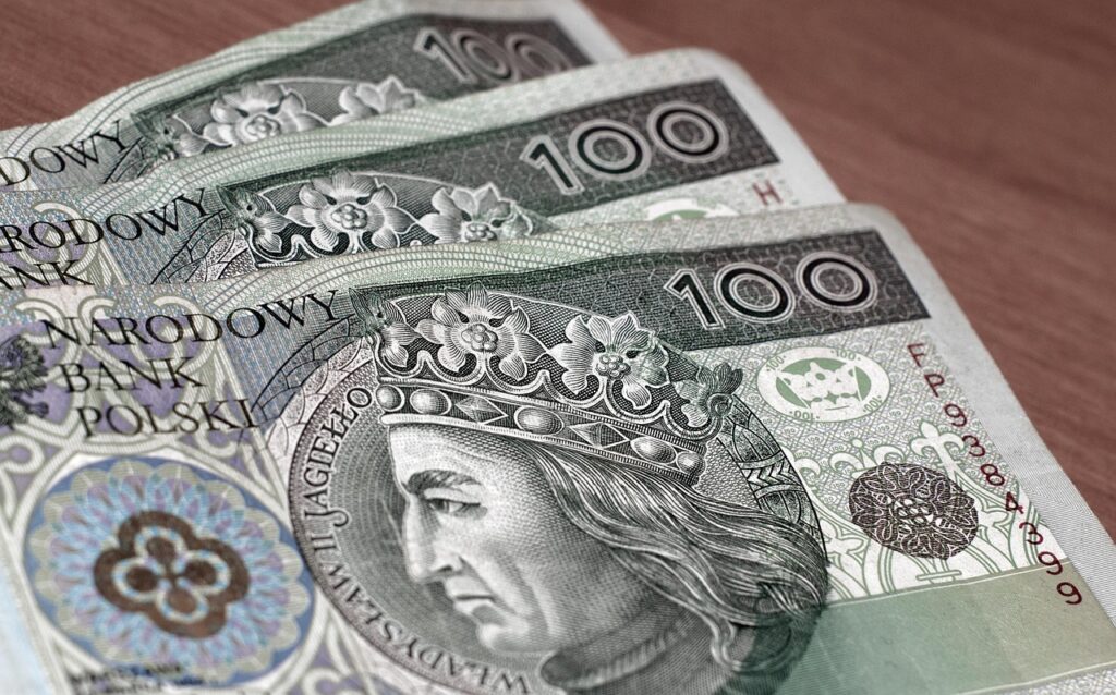 money, banknotes, polish zloty, wealth, business, finances, investments, pay, bills, bank note, currency, polish zloty, polish zloty, polish zloty, polish zloty, polish zloty